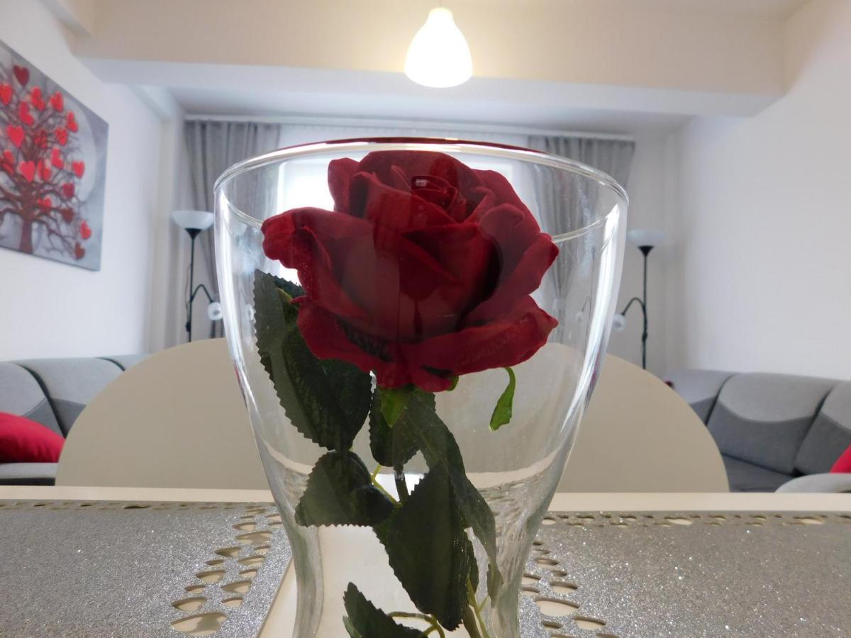 Apartamenty Niko Zator Exteriör bild